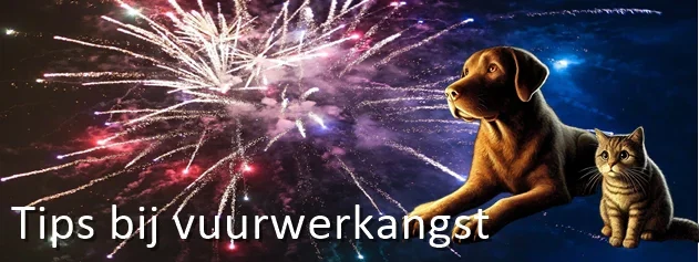 630x237-banner-vuurwerk-angst-dec24_2